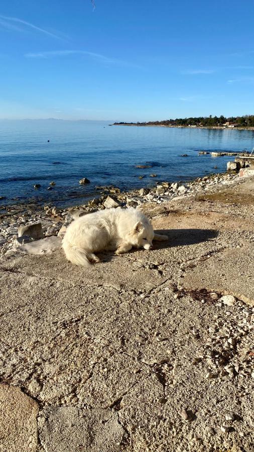 Vila Bianca Umag Bagian luar foto
