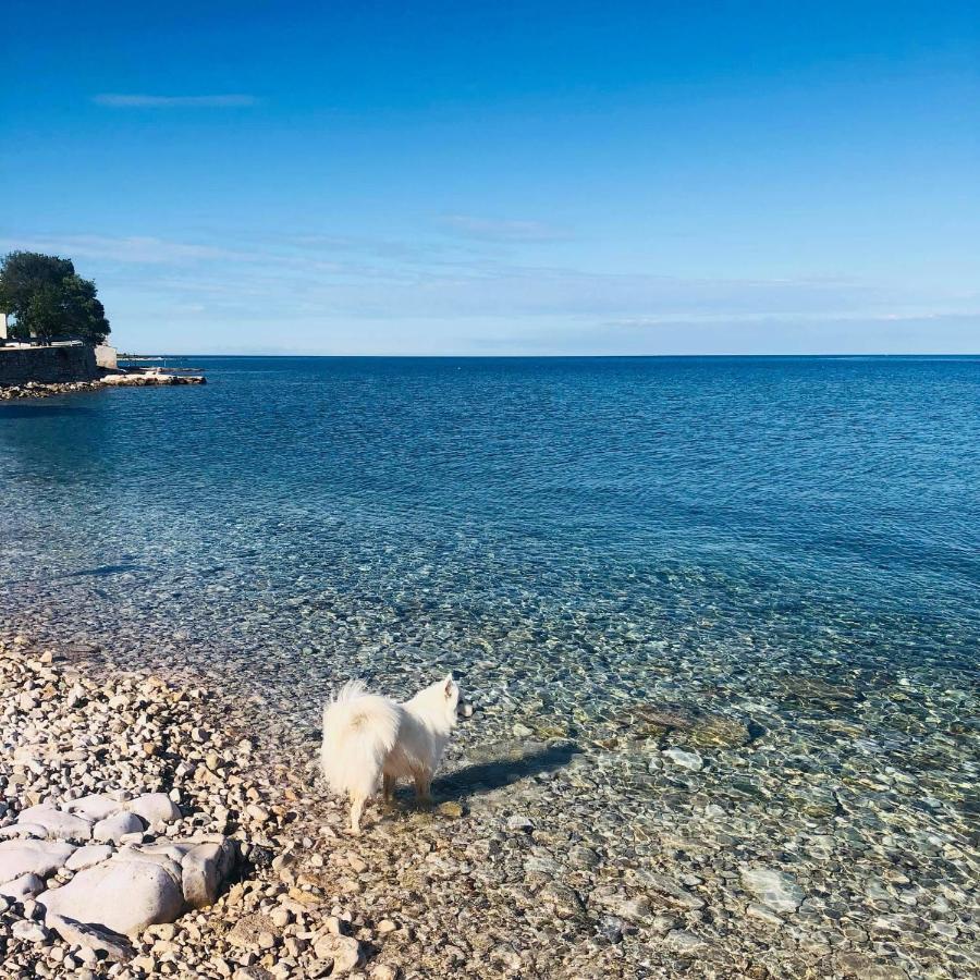 Vila Bianca Umag Bagian luar foto